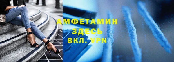твердый Арсеньев