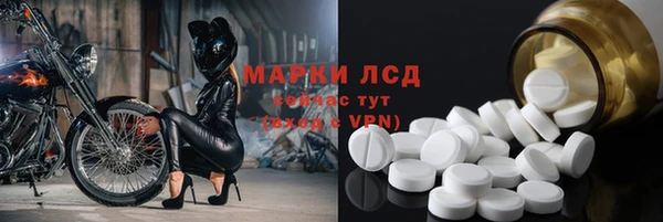 твердый Арсеньев