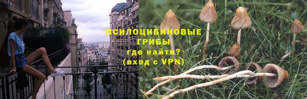 марки nbome Аркадак