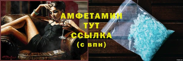 твердый Арсеньев