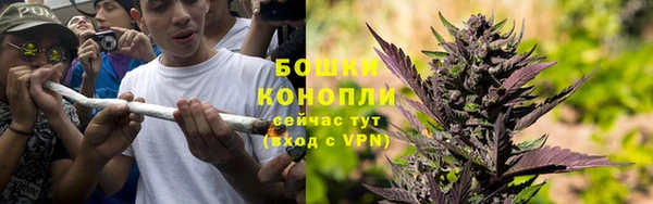 твердый Арсеньев