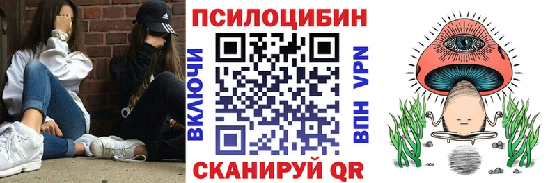 купить наркотики цена  Спасск-Дальний  Псилоцибиновые грибы MAGIC MUSHROOMS 